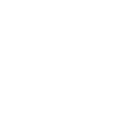 logo-voan-wit-01