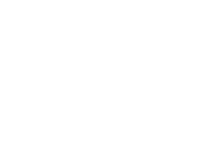 logo-voan-footer