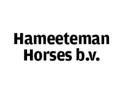 voanhameeteman
