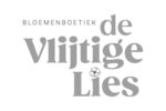 voanledenvlijtige-lies